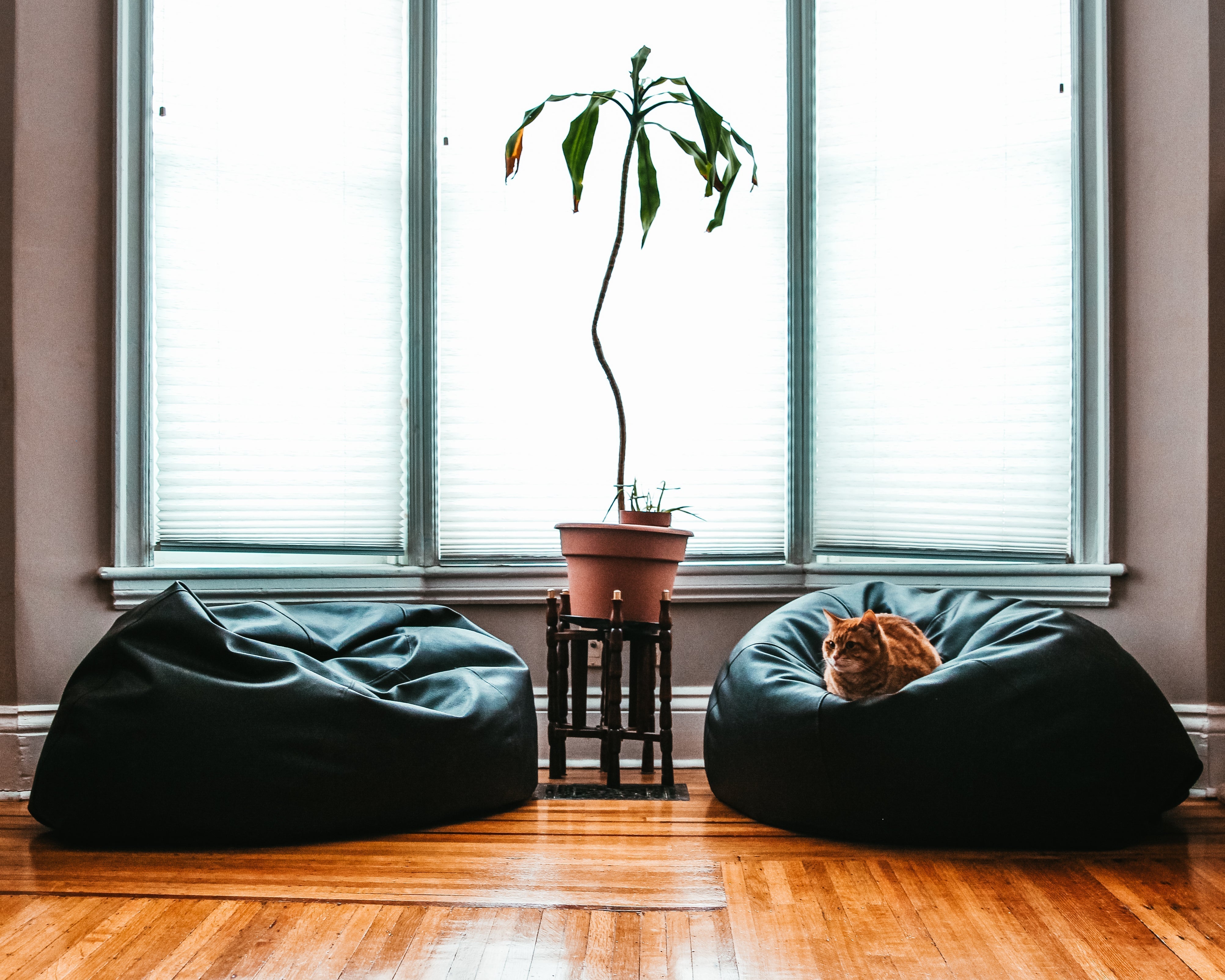 The New Home in Today's Age